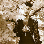 Prince – The Hits 2 (CD)