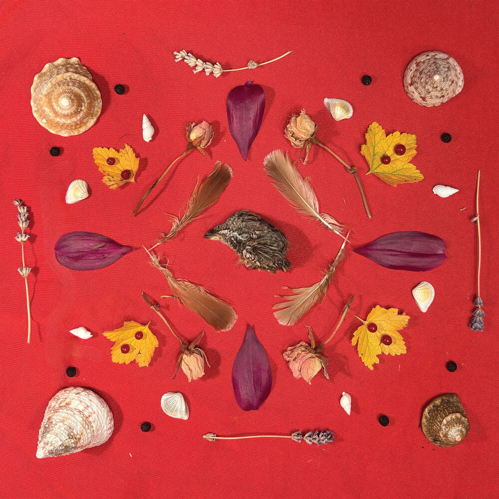 Secret Family – Grouse Head Talisman (LP Vinyl)