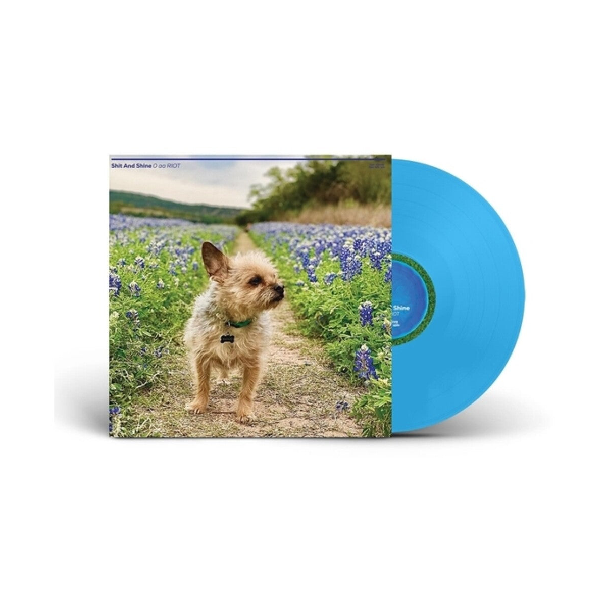 Shit & Shine – 0 Aa Riot (LP Vinyl)