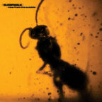 Sleepwalk – View From The Outside (LP Vinyl)