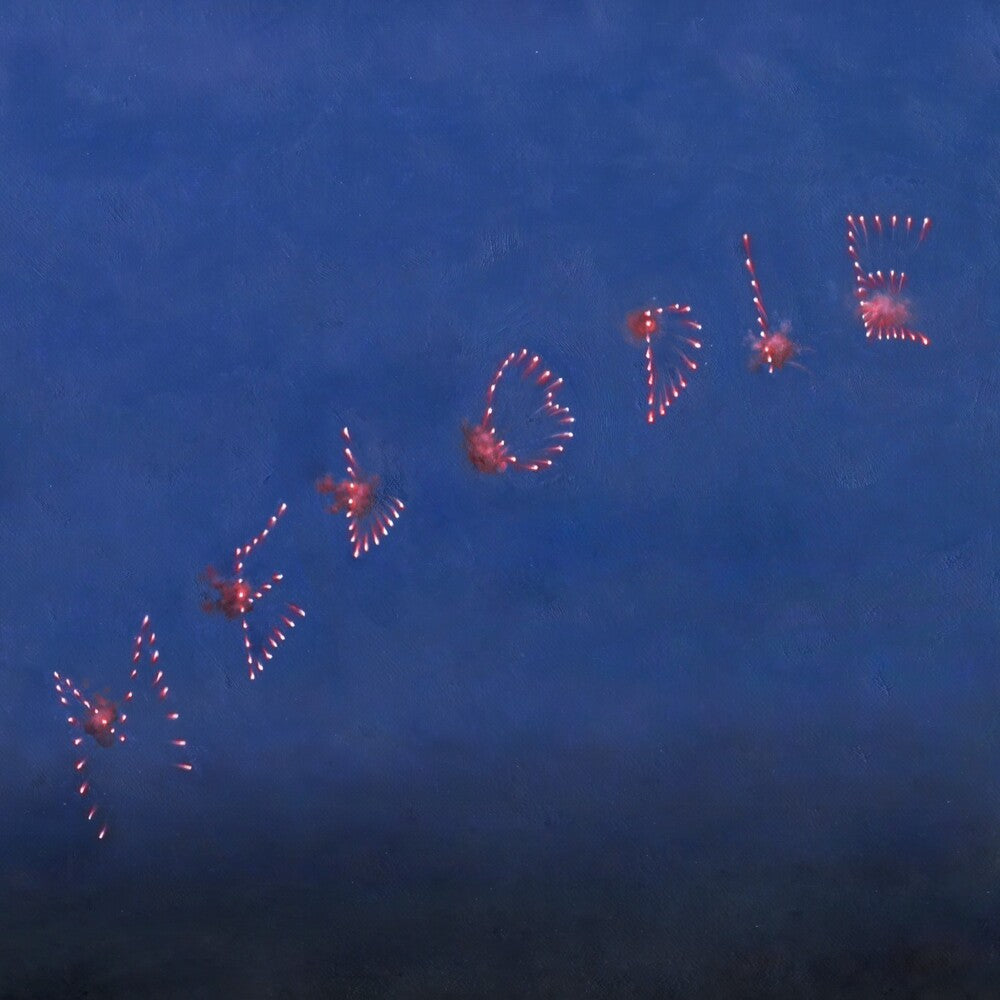 Slow Pulp – Melodie (LP Vinyl)