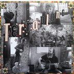 Steve Earle – Terraplane (LP Vinyl)