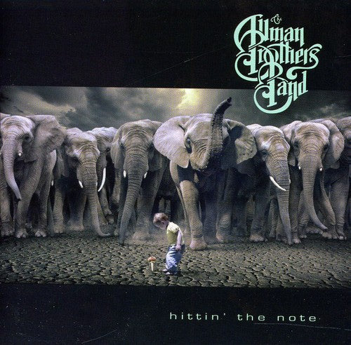 The Allman Brothers Band – Hittin the Note (CD)