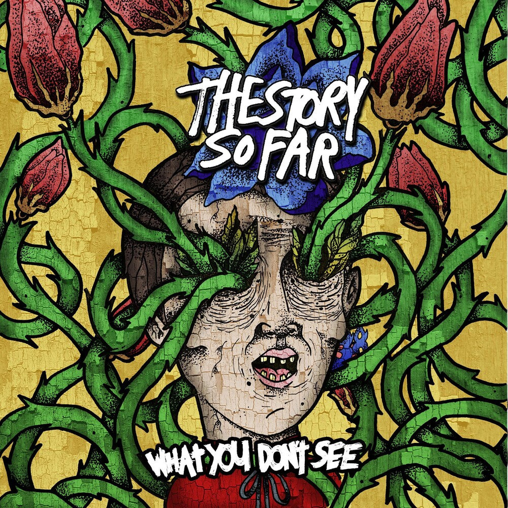 The Story So Far – What You Don't See (LP Vinyl)