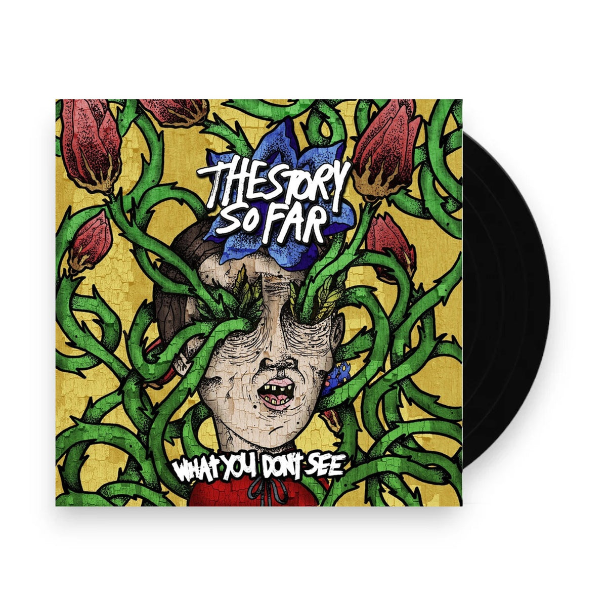 The Story So Far – What You Don't See (LP Vinyl)