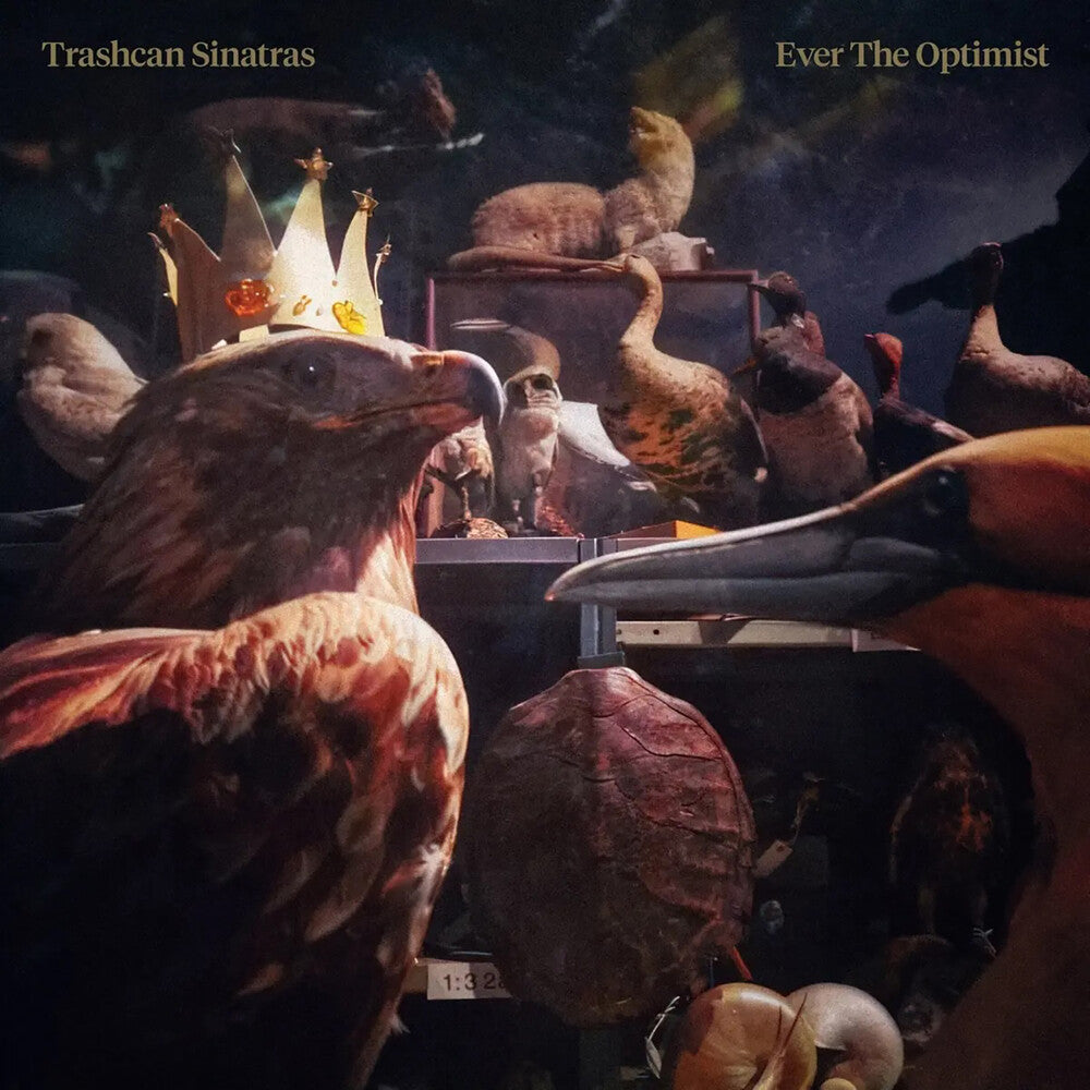 Trashcan Sinatras – Ever The Optimist (CD)