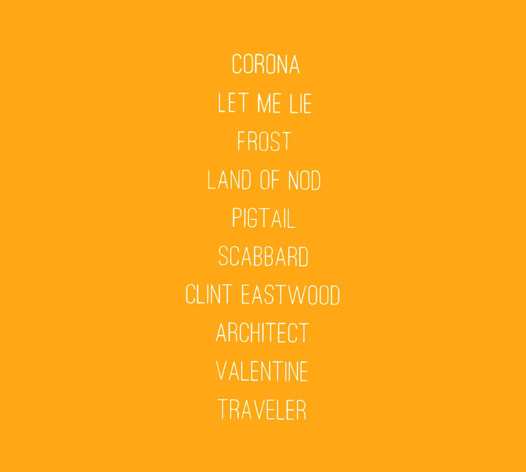 Trey Anastasio – Traveler (CD)