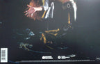 Van Halen – Van Halen (LP Vinyl)