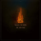 Wailin' Storms – The Arsonist (LP Vinyl)