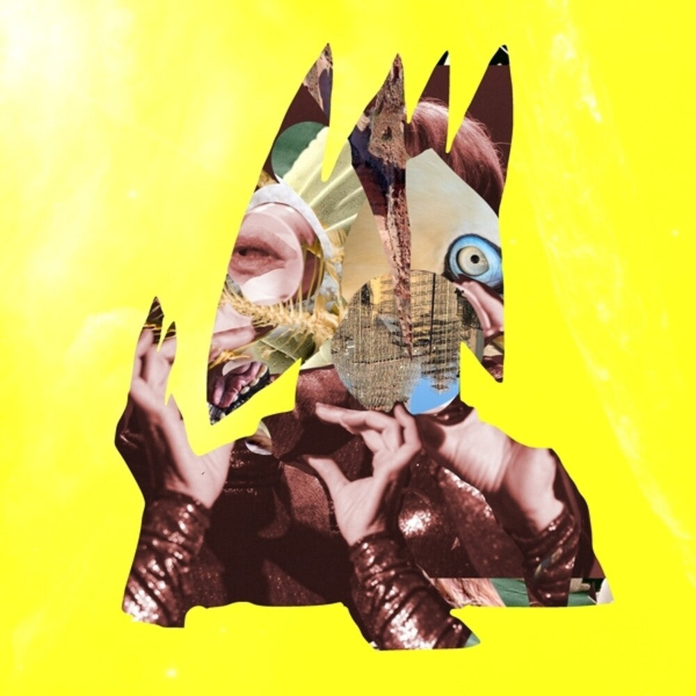 Ute Wassermann – chimeric (LP Vinyl)