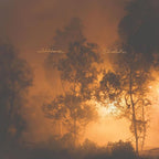 Watchhouse – Blindfaller (CD)