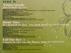 We Love Disney (2-LP Vinyl)