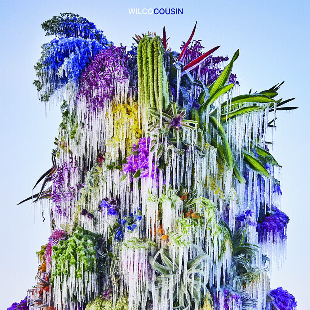 Wilco – Cousin (CD)