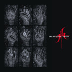 Xmal Deutschland – Gift The 4ad Years (2-CD)
