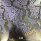 Alt-J – Awesome Wave (LP Vinyl)