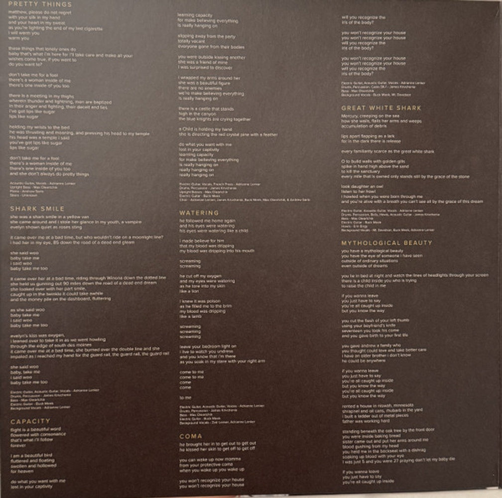 Big Thief – Capacity (LP Vinyl)