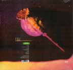 The Breeders – Pod (LP Vinyl)