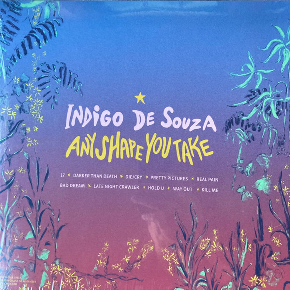Indigo De Souza – Any Shape You Take (LP Vinyl)