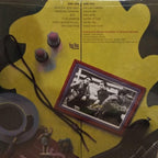 Marshall Crenshaw – Marshall Crenshaw (LP Vinyl)