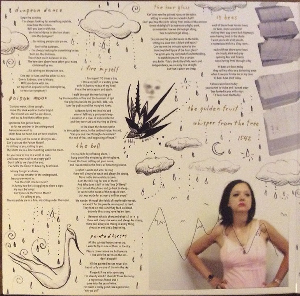 Mary Timony – Mountains (2-LP Vinyl)