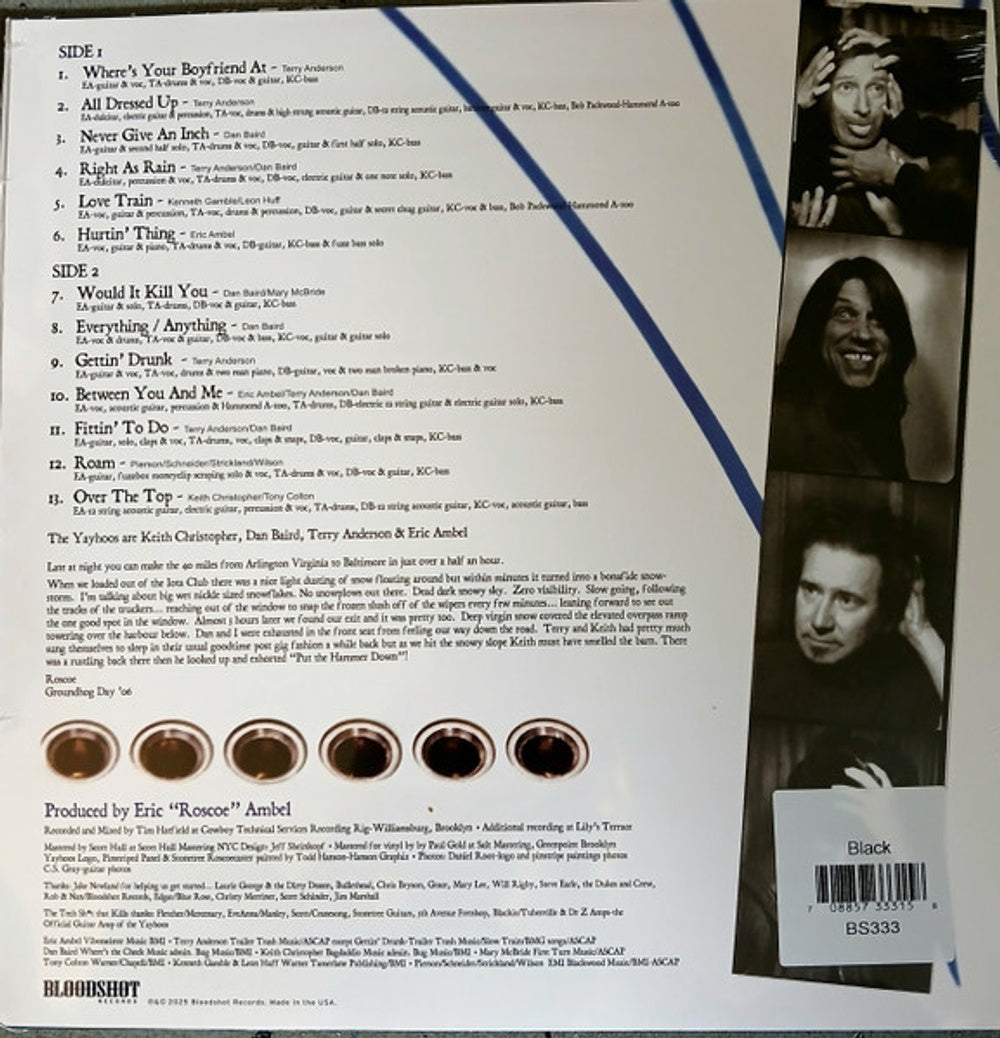 The Yayhoos – Put The Hammer Down (LP Vinyl)