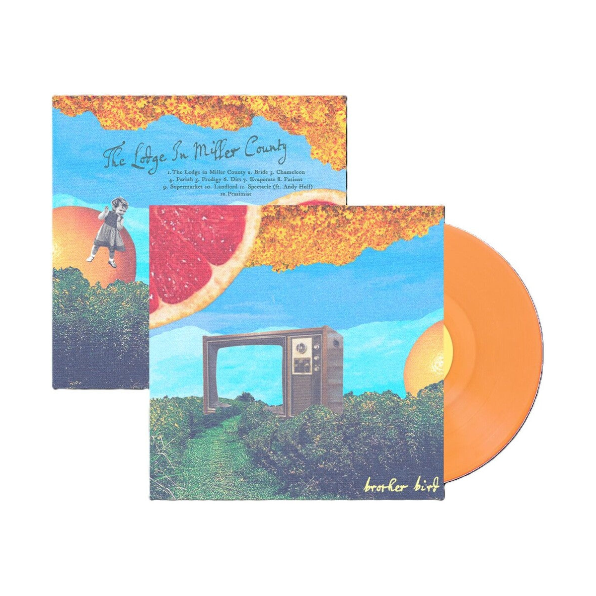Brother Bird – Lodge In Miller County (LP Vinyl)