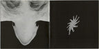 David Byrne – David Byrne (CD)