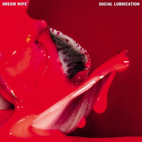 Dream Wife - Dream Wife - Social Lubrication
