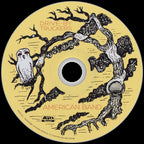 Drive-By Truckers – American Band (CD)