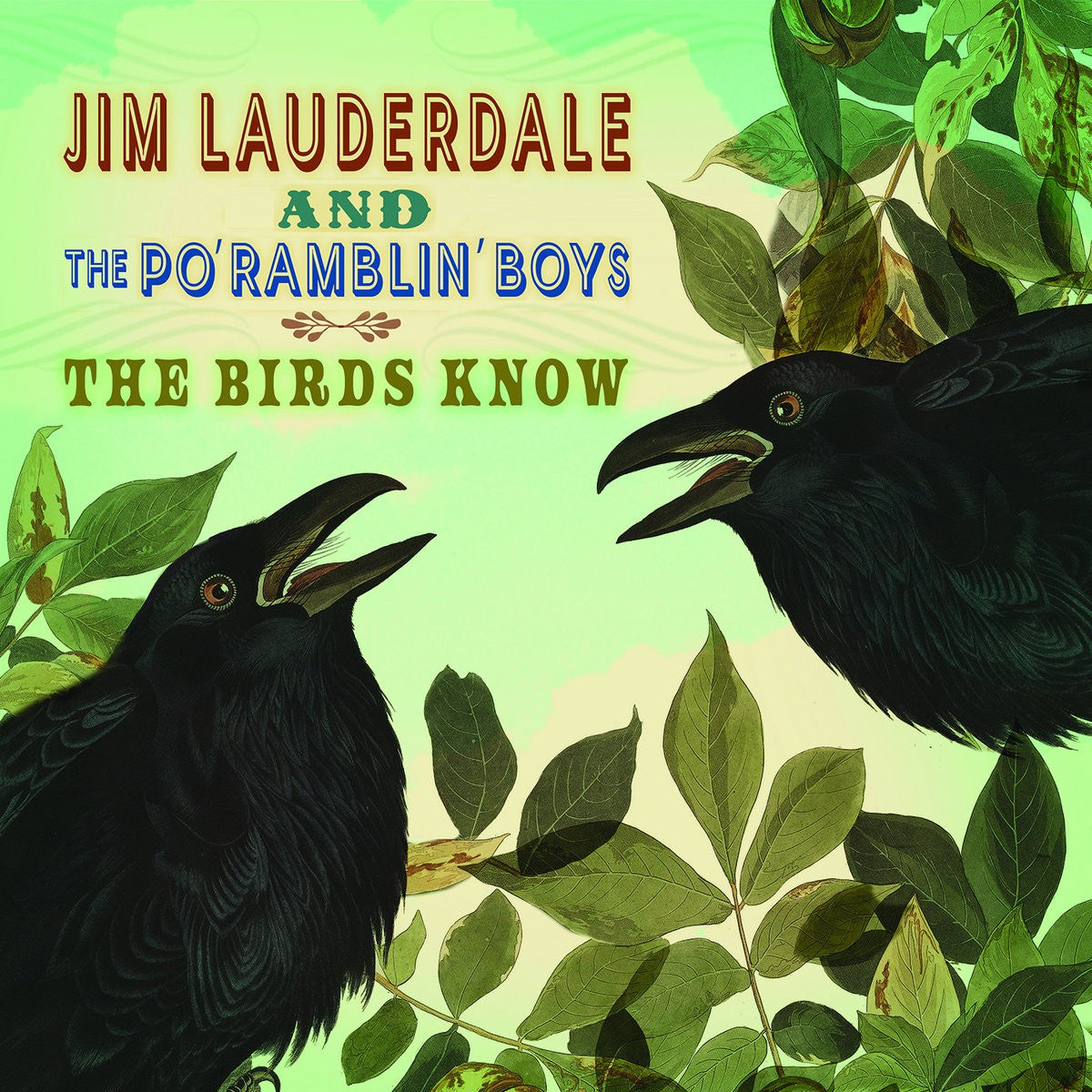 Jim Lauderdale & The Po' Ramblin' Boys - Jim Lauderdale  & The Po' Ramblin' Boys – Birds Know (CD)