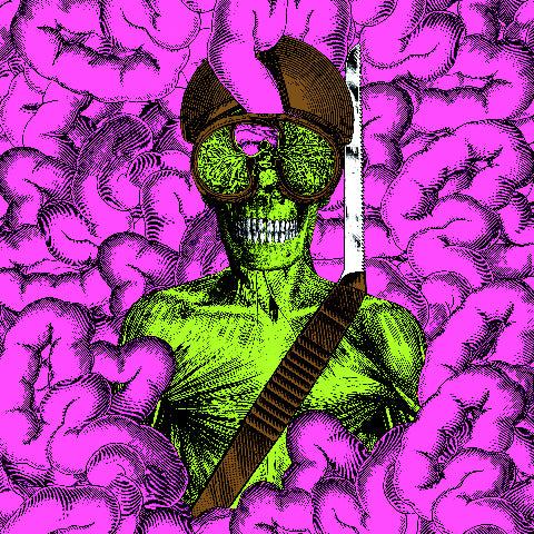 Thee Oh Sees – Carrion Crawler / Dream (LP Vinyl)