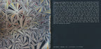 The National – Trouble Will Find Me (CD)