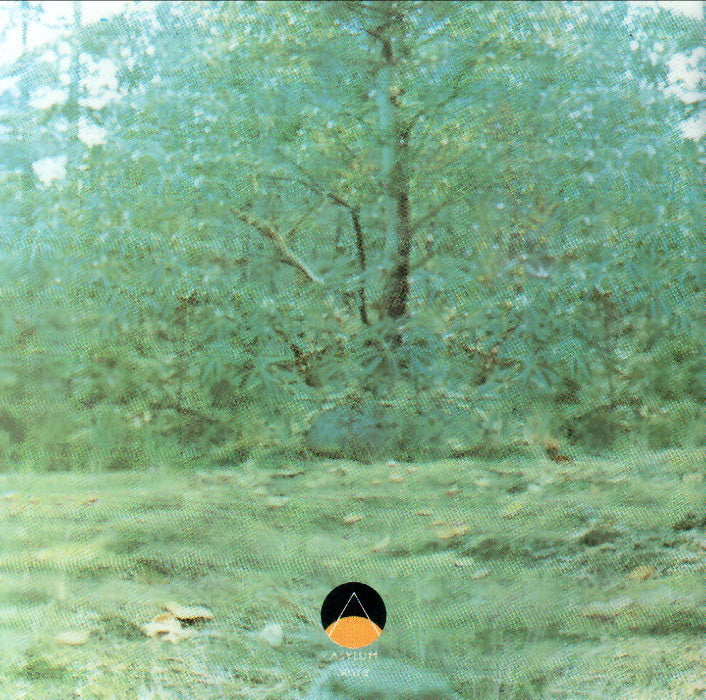 Joni Mitchell – For The Roses (LP Vinyl)