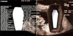 Metallica – Death Magnetic (CD)