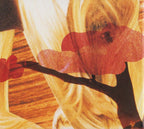 The National – Cherry Tree (CD)