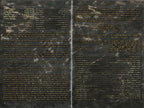 Whitesnake – Live In The Still Of The Night (2-LP Vinyl)