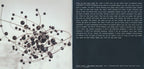 The National – Trouble Will Find Me (CD)