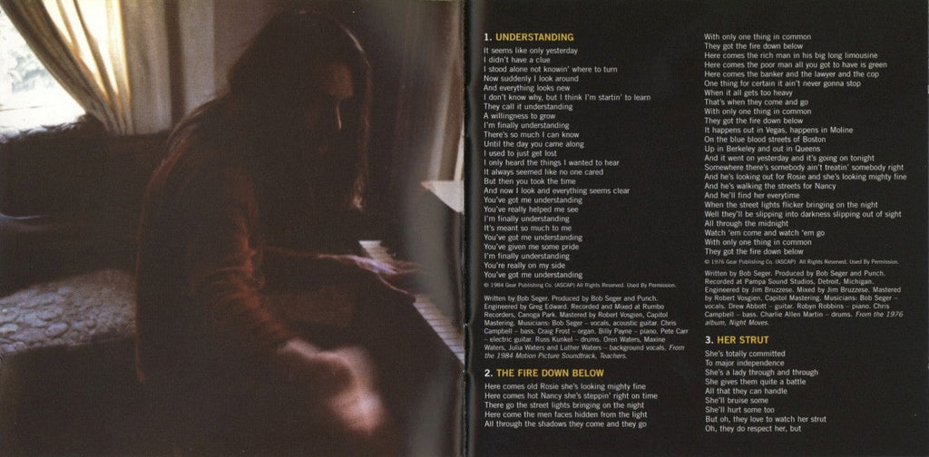 Bob Seger – Greatest Hits 2 (CD)
