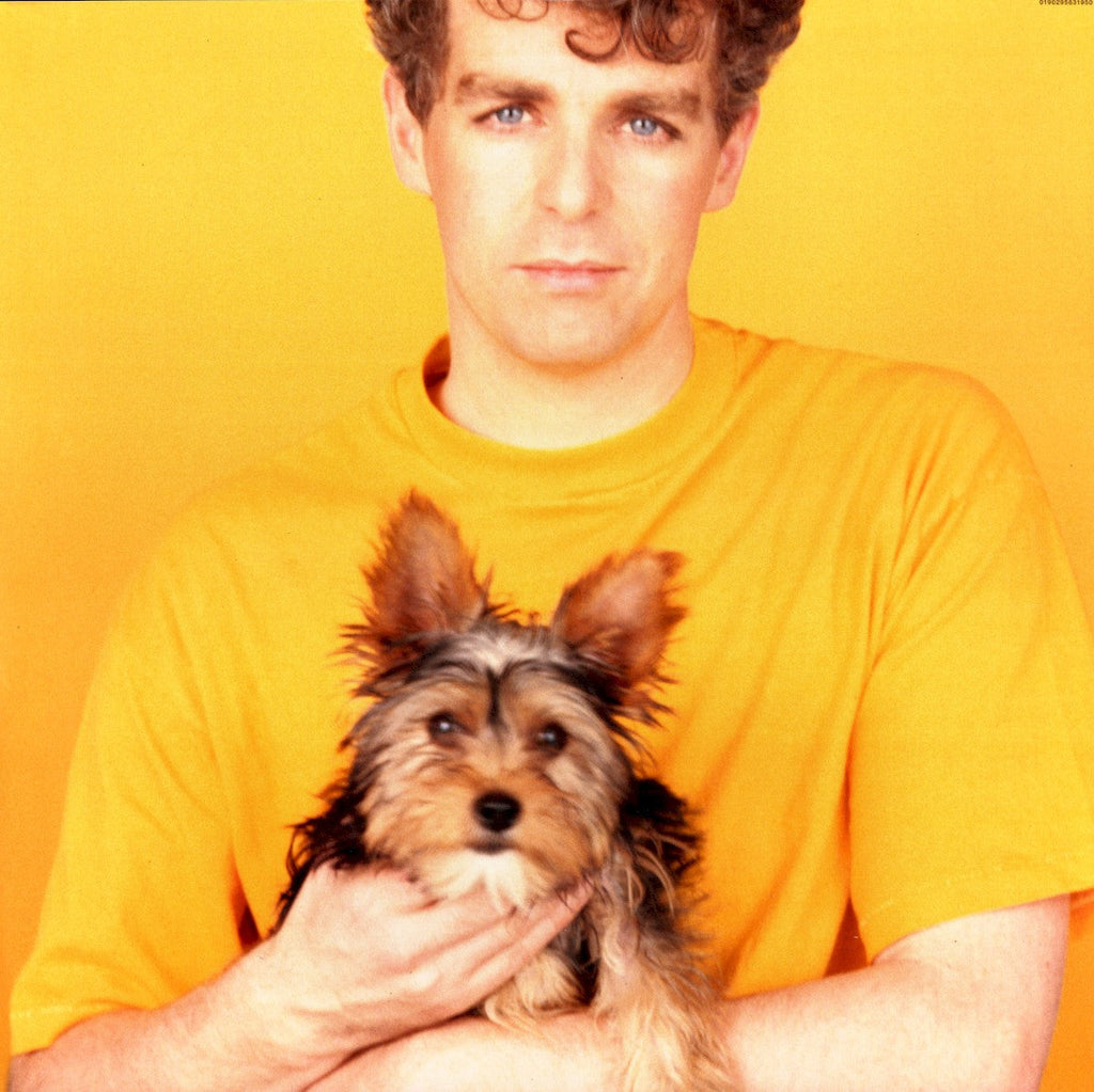 Pet Shop Boys – Introspective (LP Vinyl)