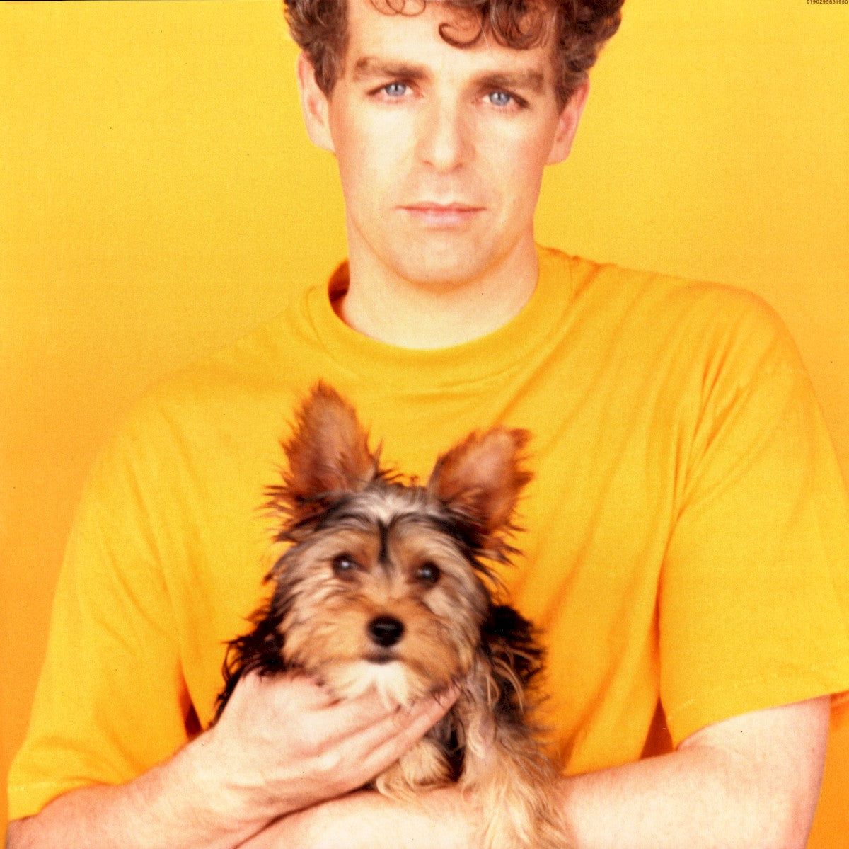 Pet Shop Boys – Introspective (LP Vinyl)