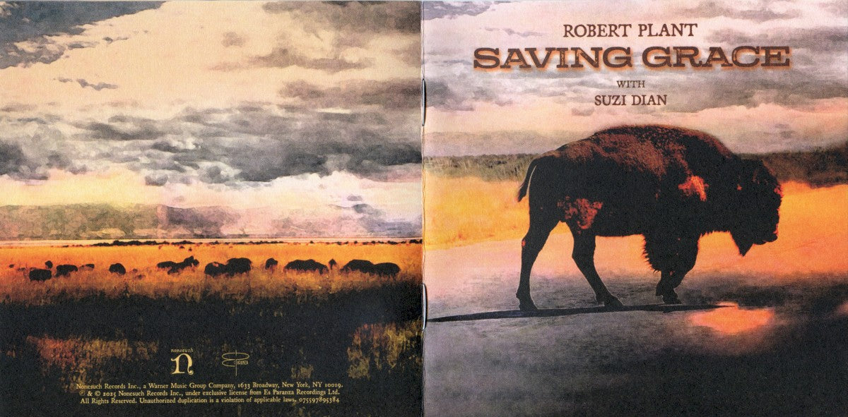 Robert Plant – Saving Grace (CD)