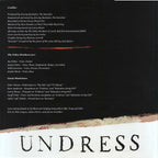 The Felice Brothers – Undress (CD)