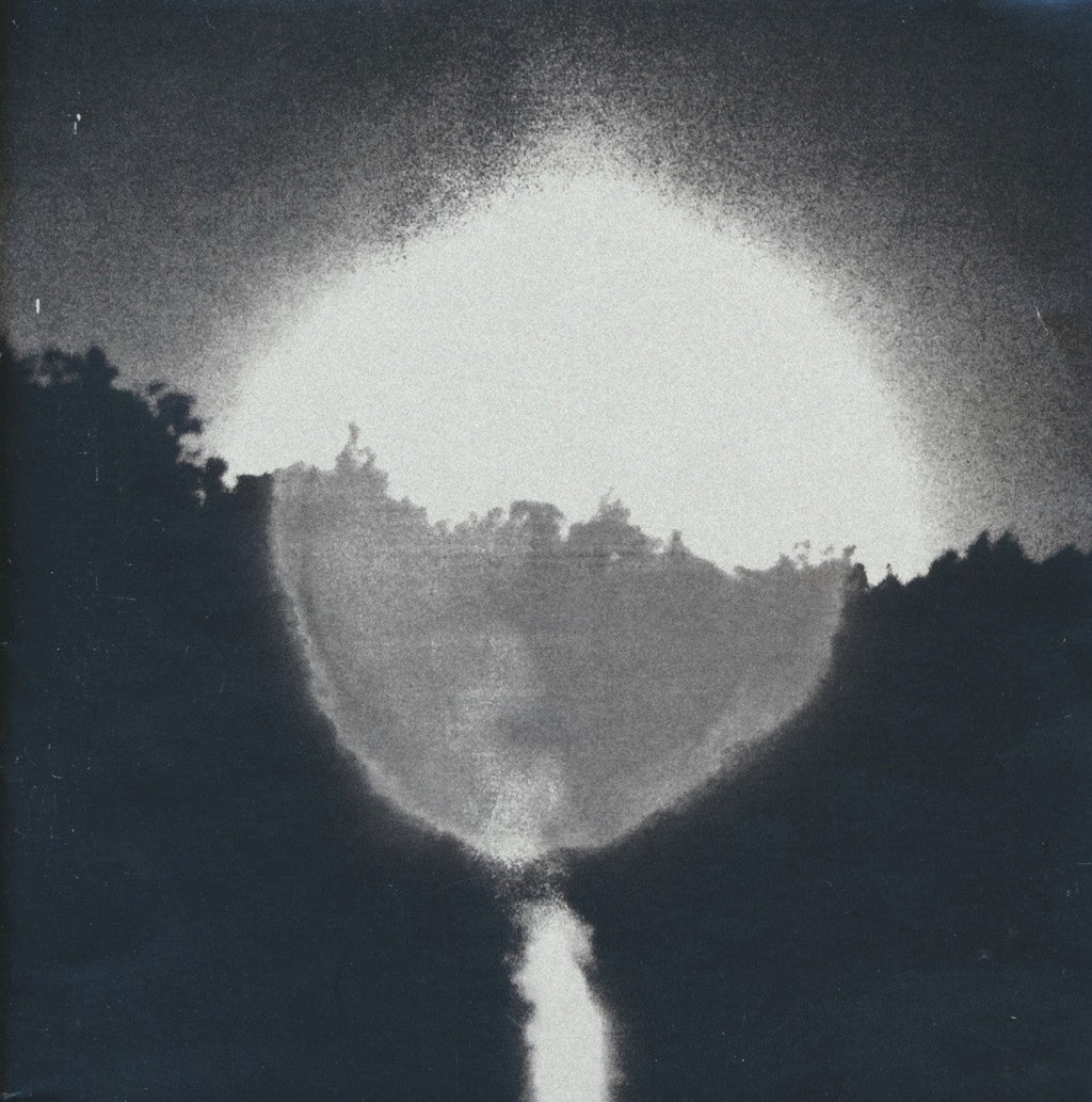 The National – Trouble Will Find Me (CD)