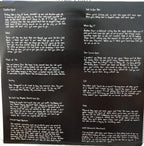 Title Fight – Shed (LP Vinyl)