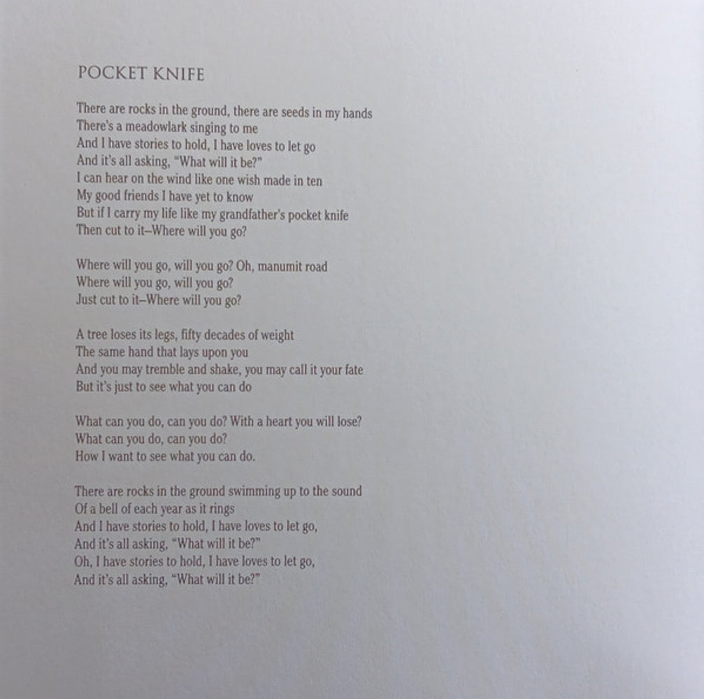 Blind Pilot – In The Shadow Of The Holy Mountain (CD)