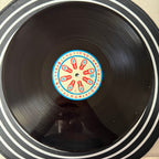 blink-182 – Enema of the State (DSS LP Vinyl)
