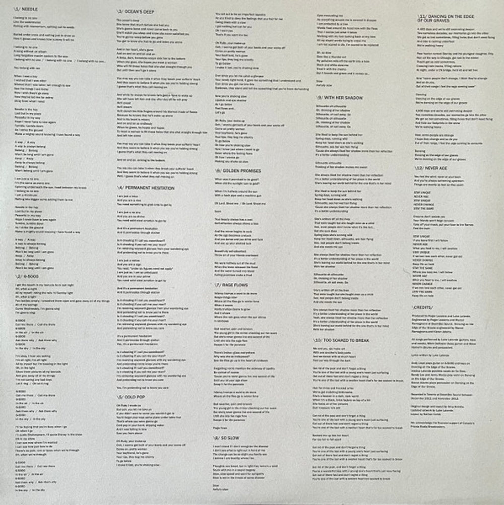 Born Ruffians – Birthmarks (LP Blue Vinyl)