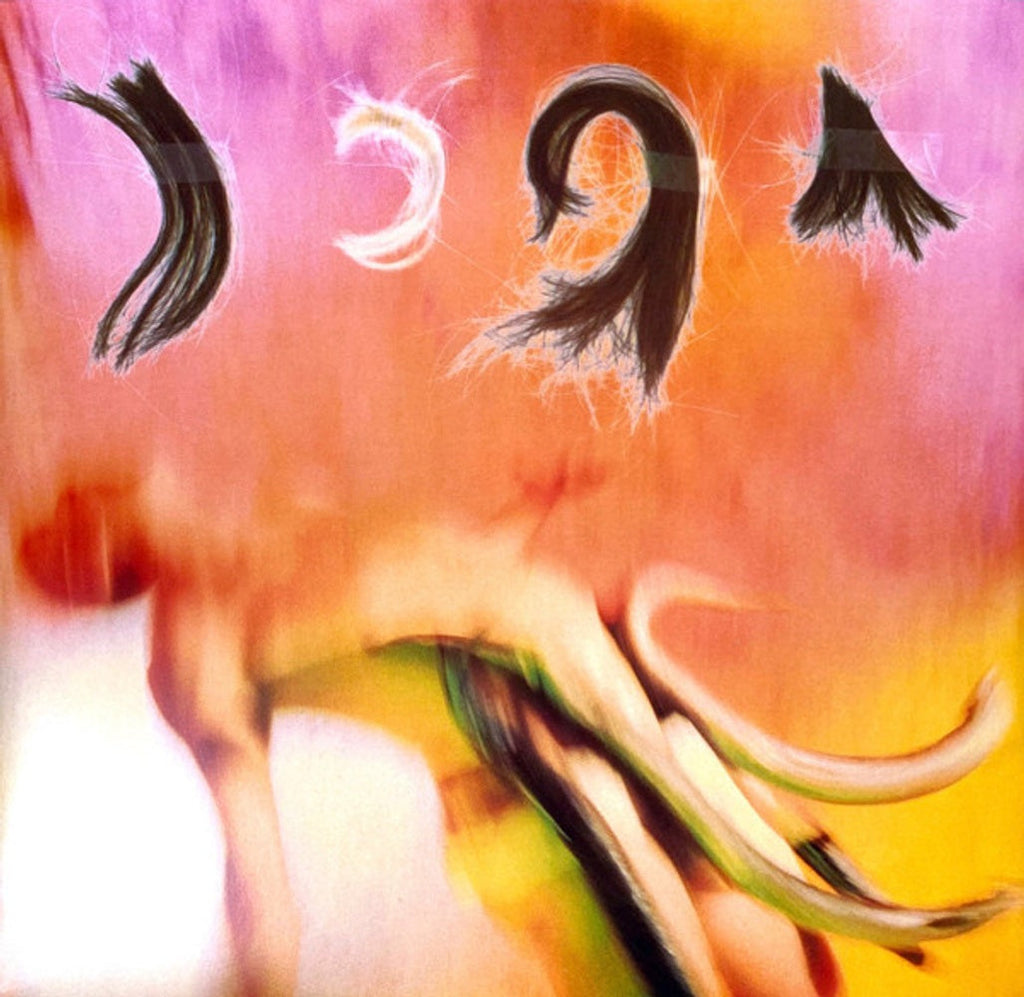 The Breeders – Pod (LP Vinyl)