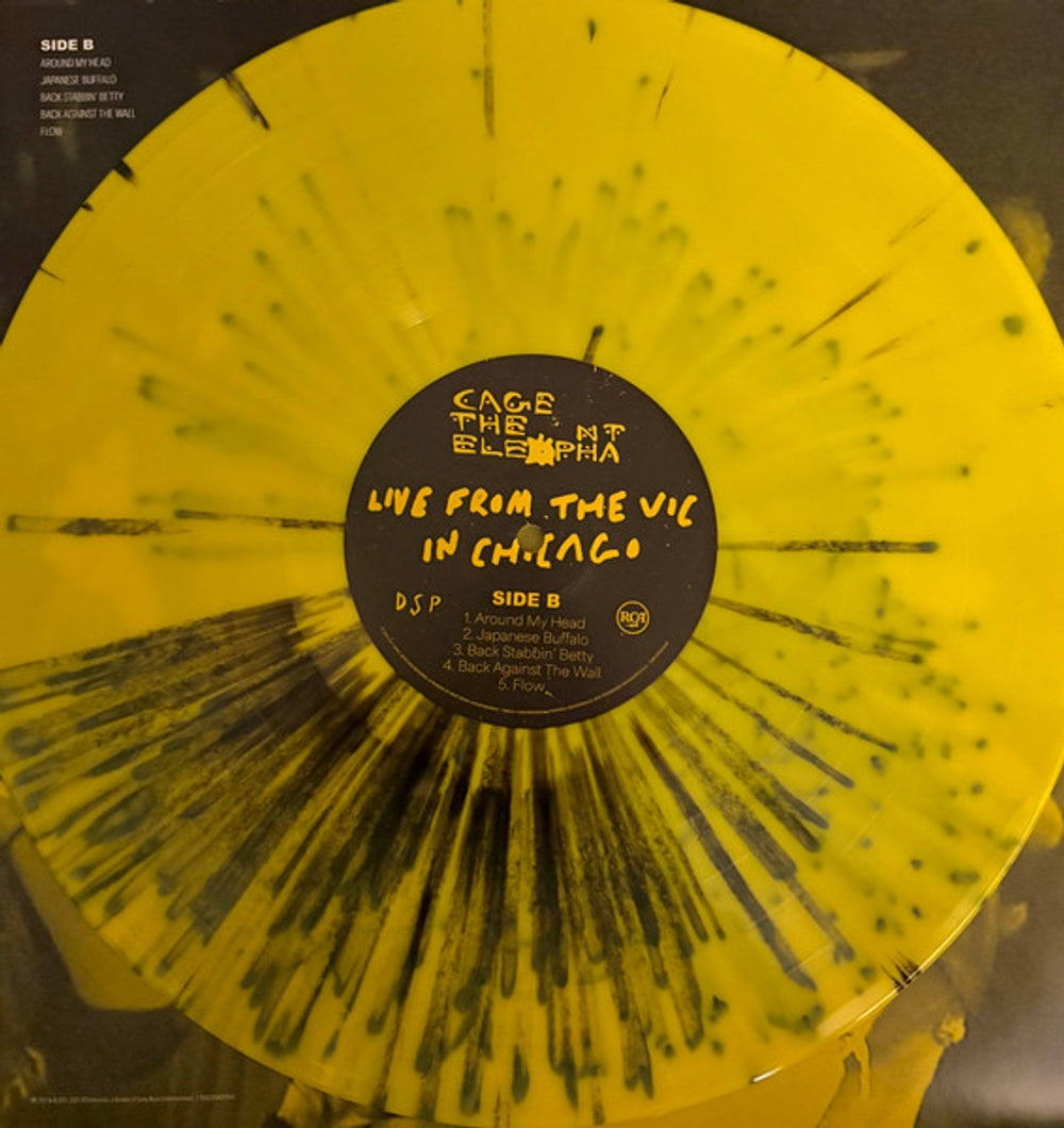 Cage The Elephant – Live From The Vic In Chicago (2-LP Vinyl)