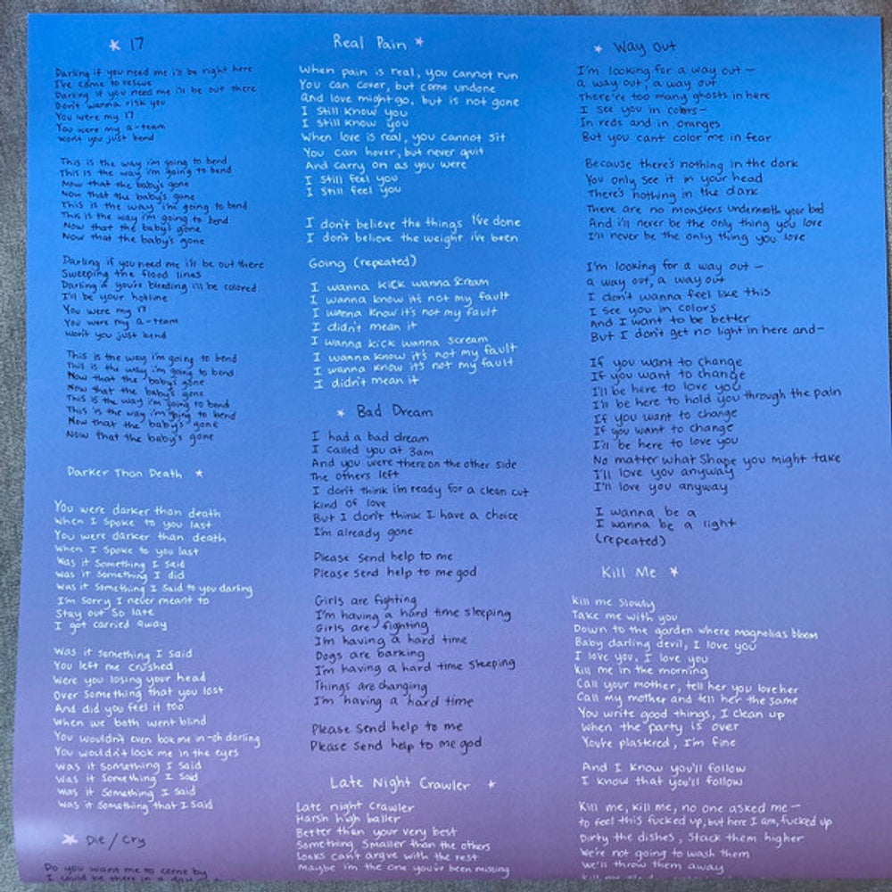 Indigo De Souza – Any Shape You Take (LP Vinyl)